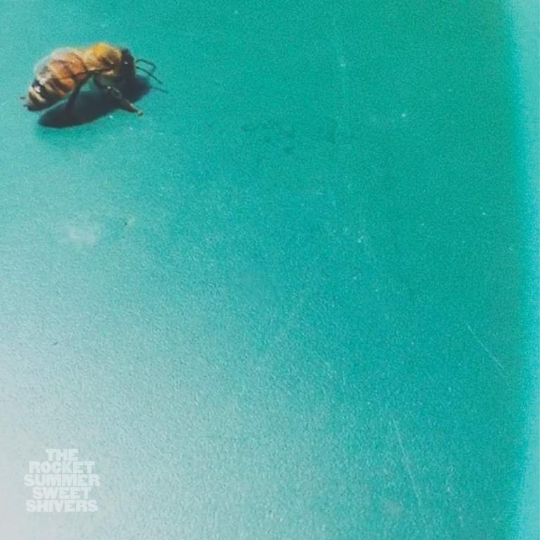 Wannalife by The Rocket Summer