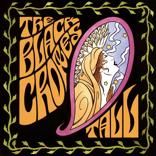 Cover image for The Lost Crowes
