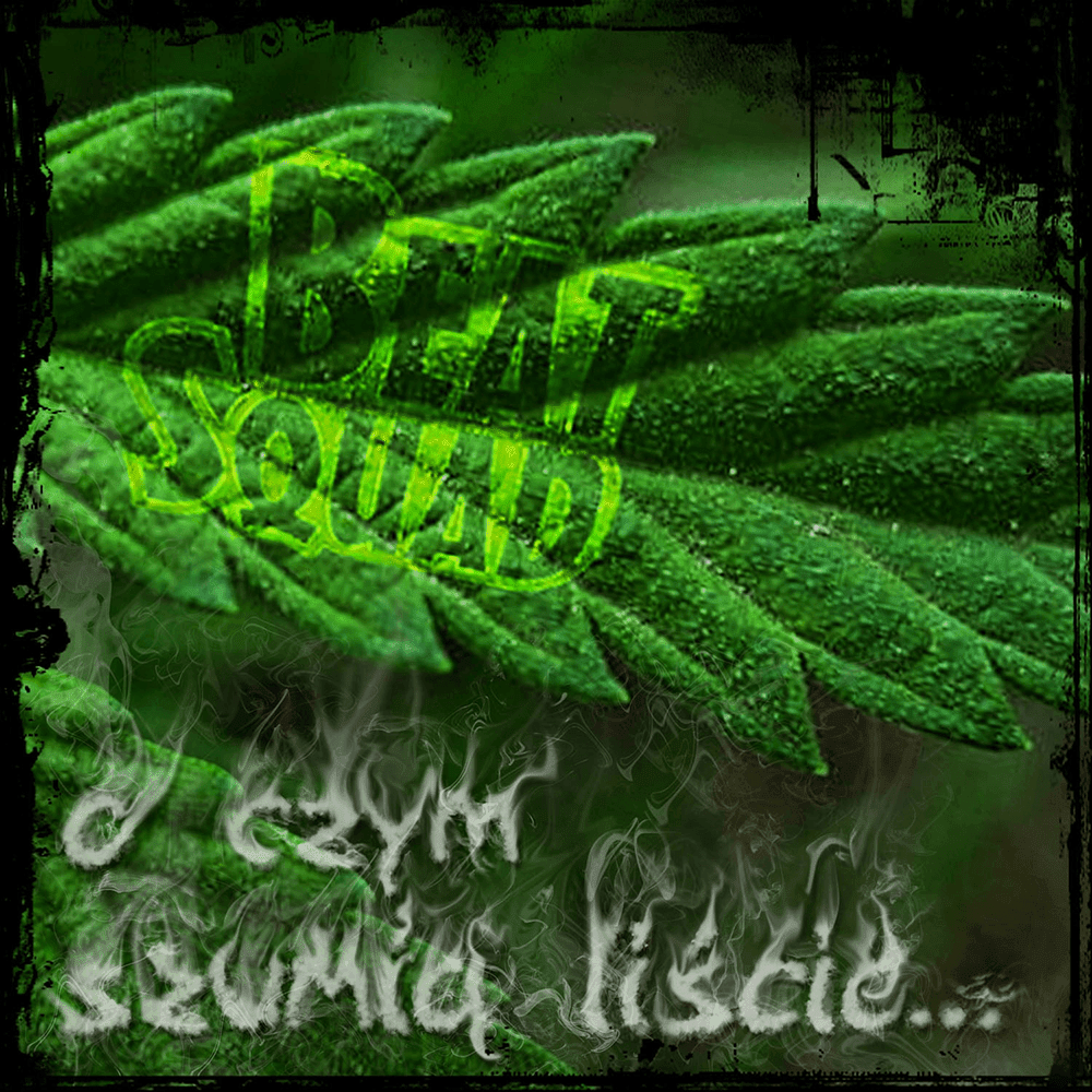 Album cover art for "Absynt" by Beat Squad (POL) & Ceka (POL) & donGURALesko