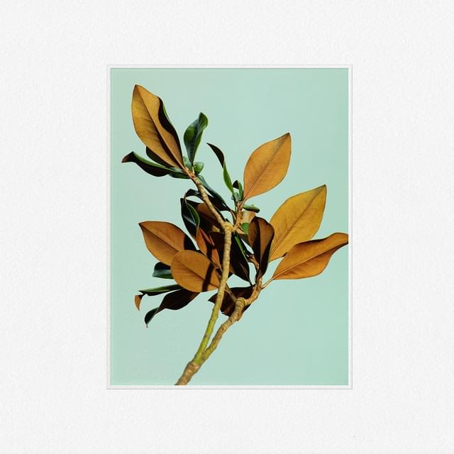 Deadwater by Wet
