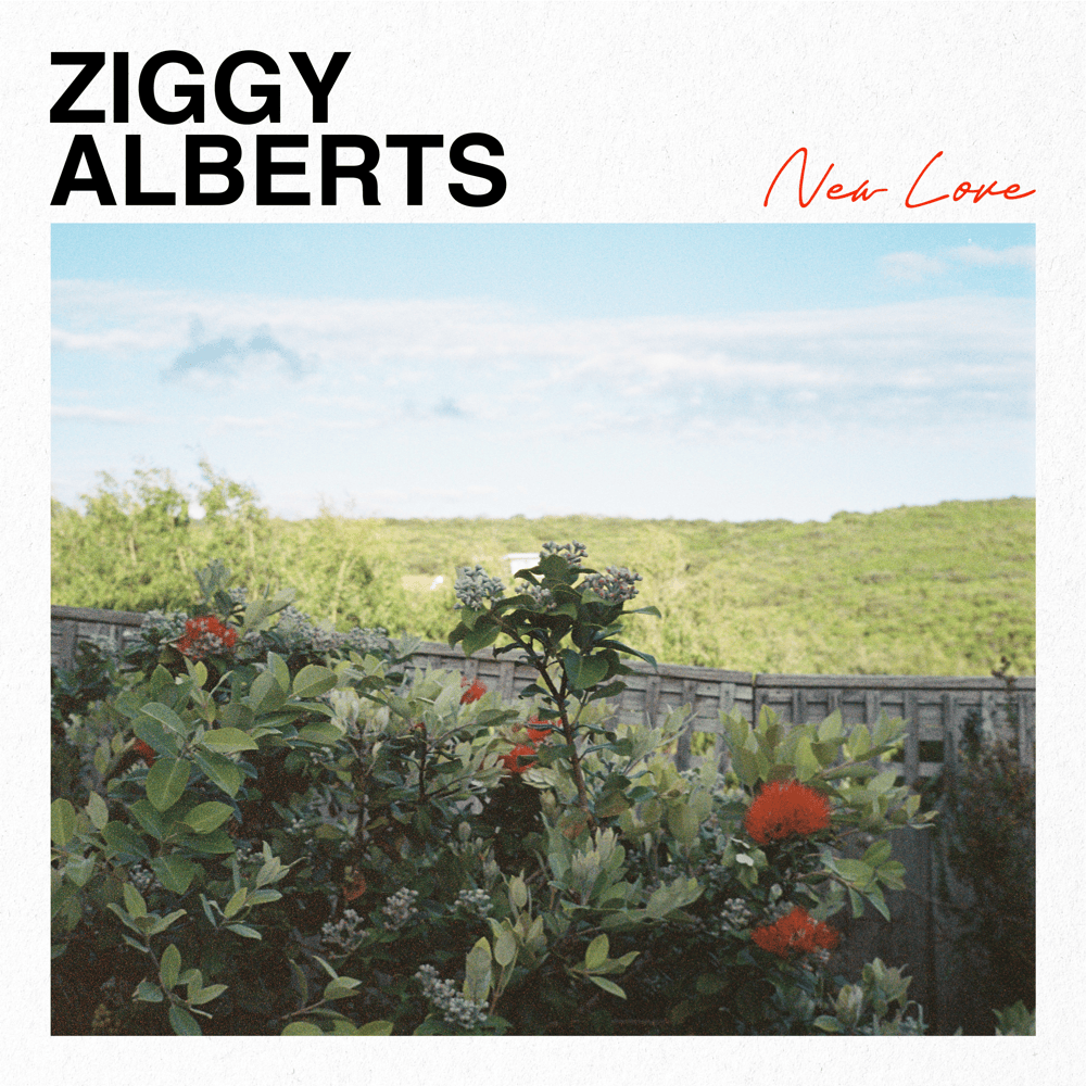 Album cover art for "New Love" by Ziggy Alberts