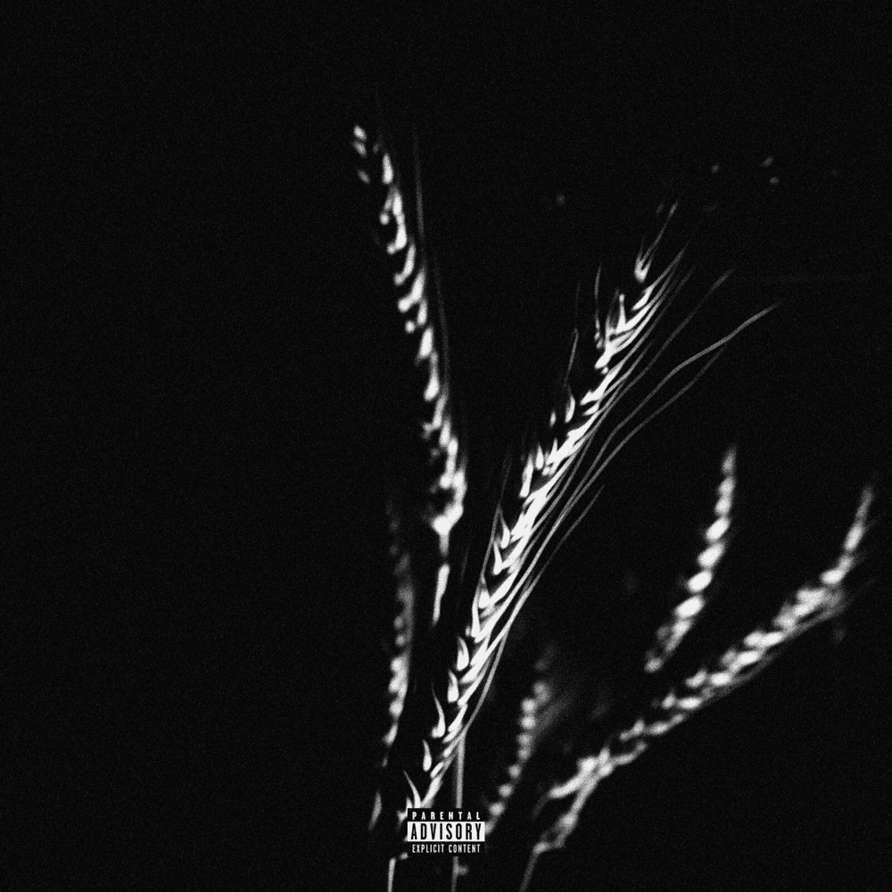 La Moisson by Soleil Noir