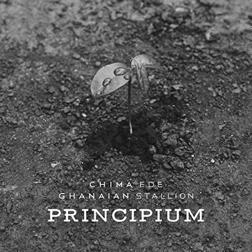 Principium by Chima Ede