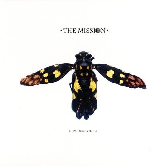 Album cover art for "Refugee" by The Mission