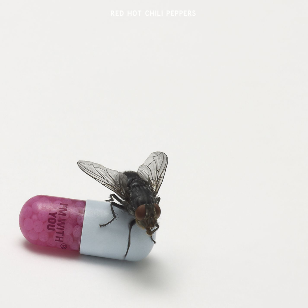 Cover image for I’m with You