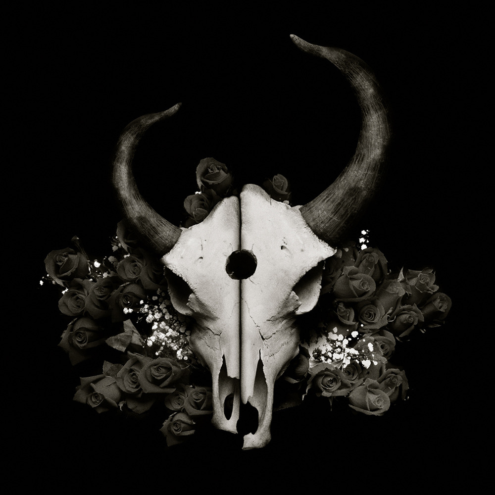 Album cover art for "My Heartstrings Come Undone" by Demon Hunter