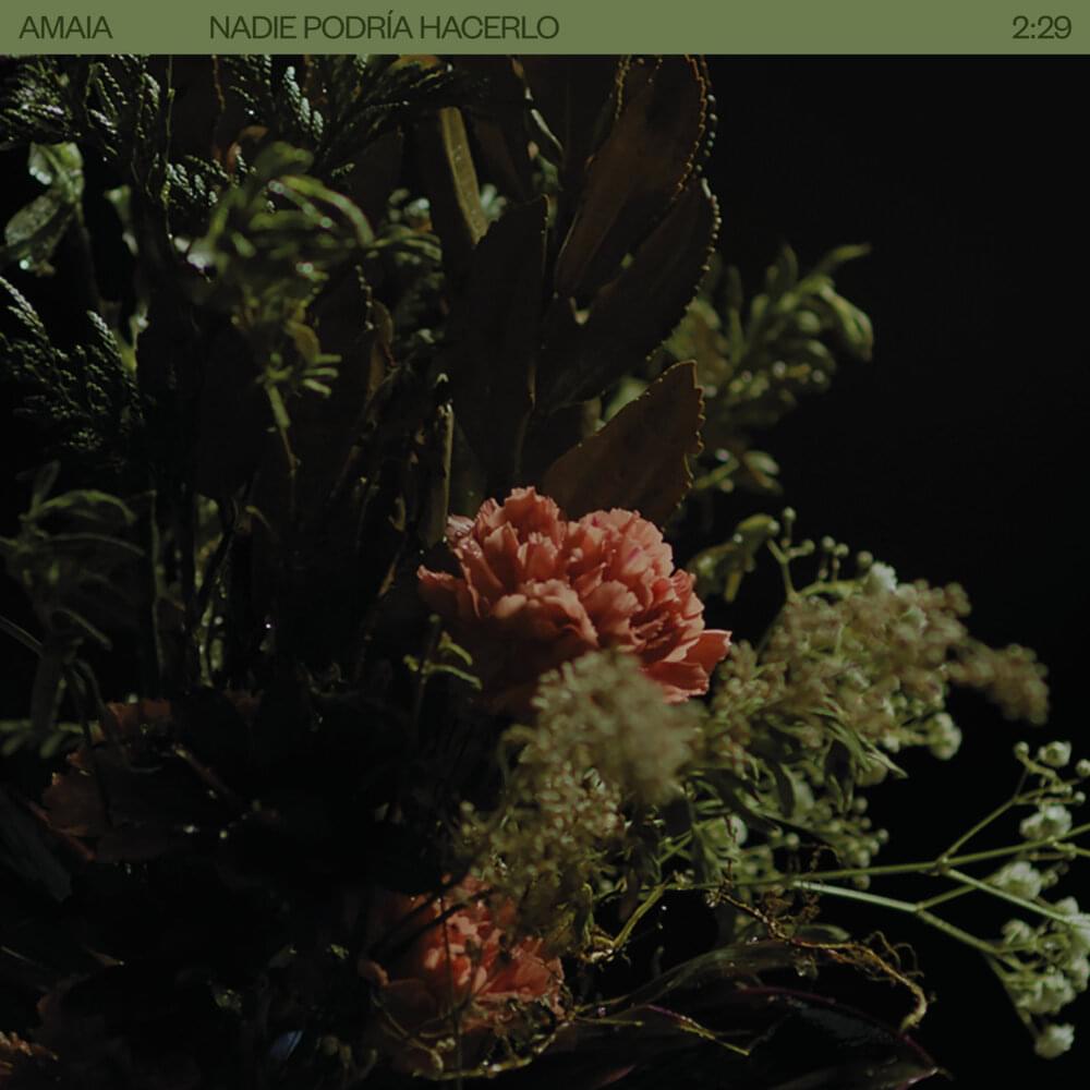 Album cover art for "Nadie Podría Hacerlo" by Amaia