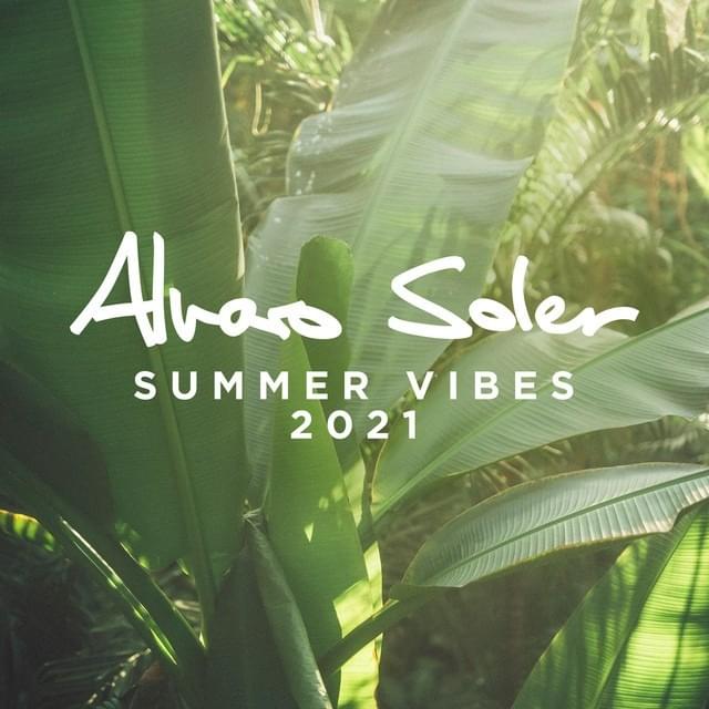 Cover image for Summer Vibes 2021