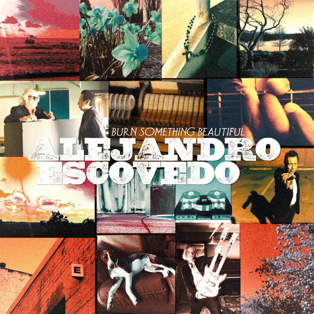 Shave the Cat by Alejandro Escovedo