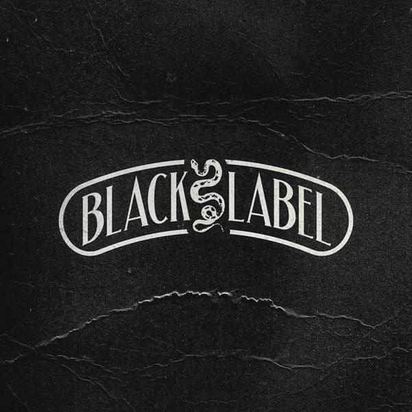 Cover image for Never Say Die: Black Label