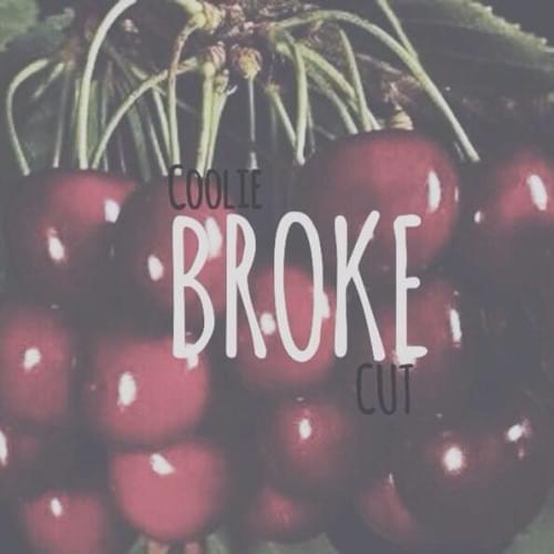 Album cover art for "Broke" by Cooliecut