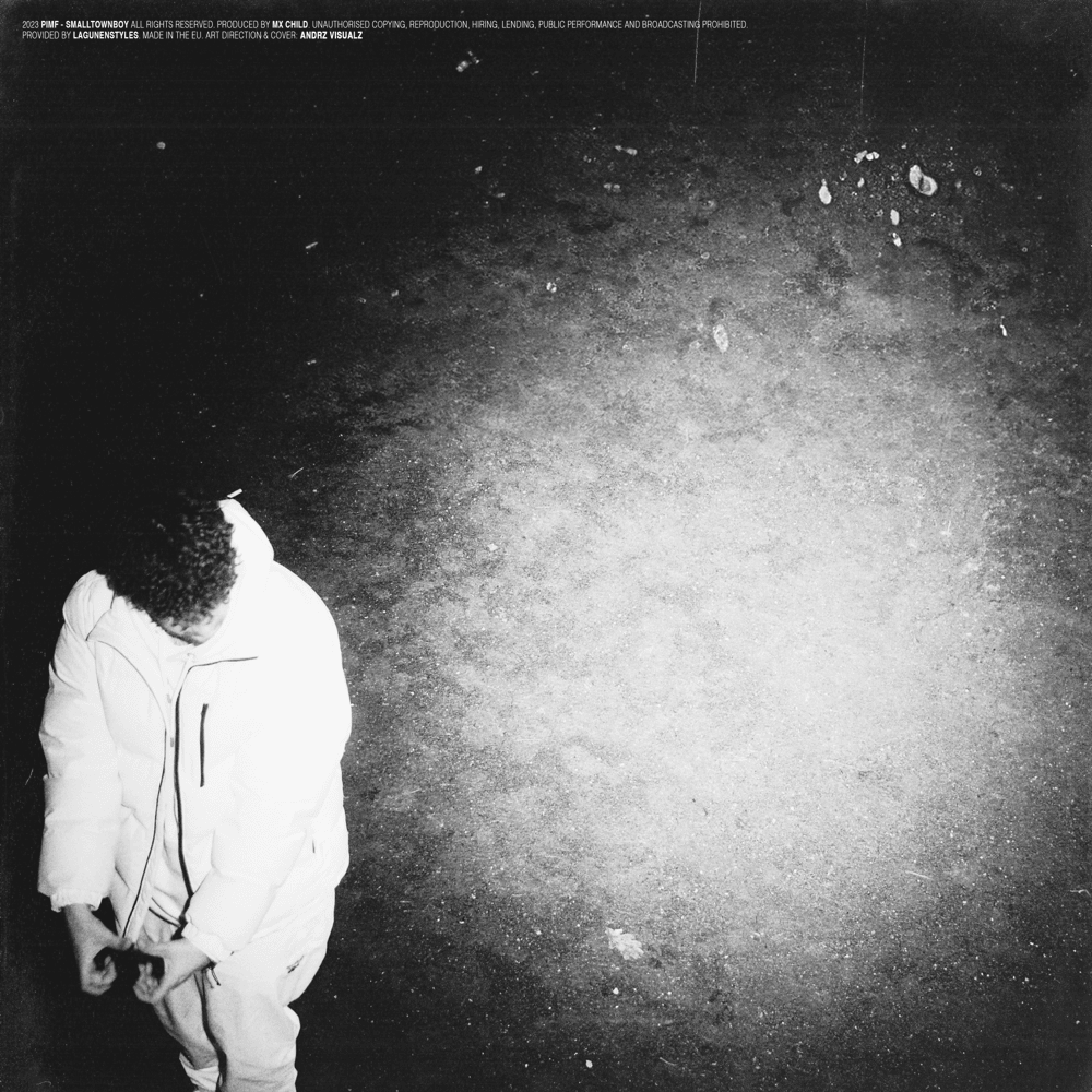 Album cover art for "Smalltownboy" by PIMF