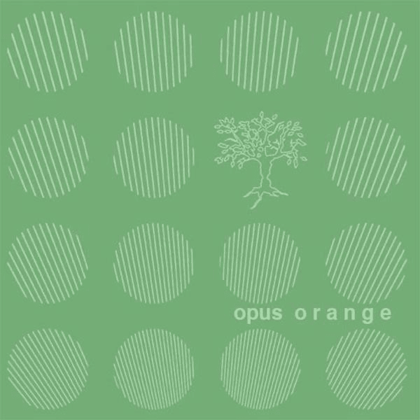 That Is To Say by Opus Orange