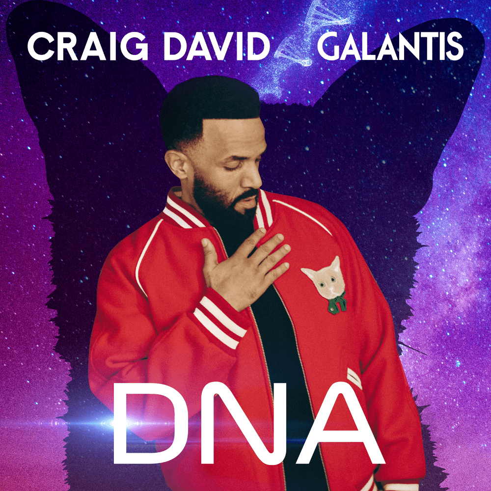 Album cover art for "DNA" by Craig David