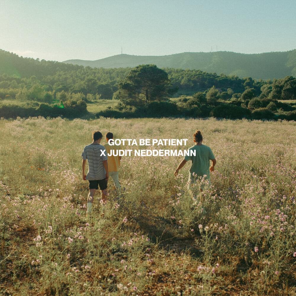 Album cover art for "Gotta Be Patient (Confination Song VI)" by Stay Homas & Judit Neddermann