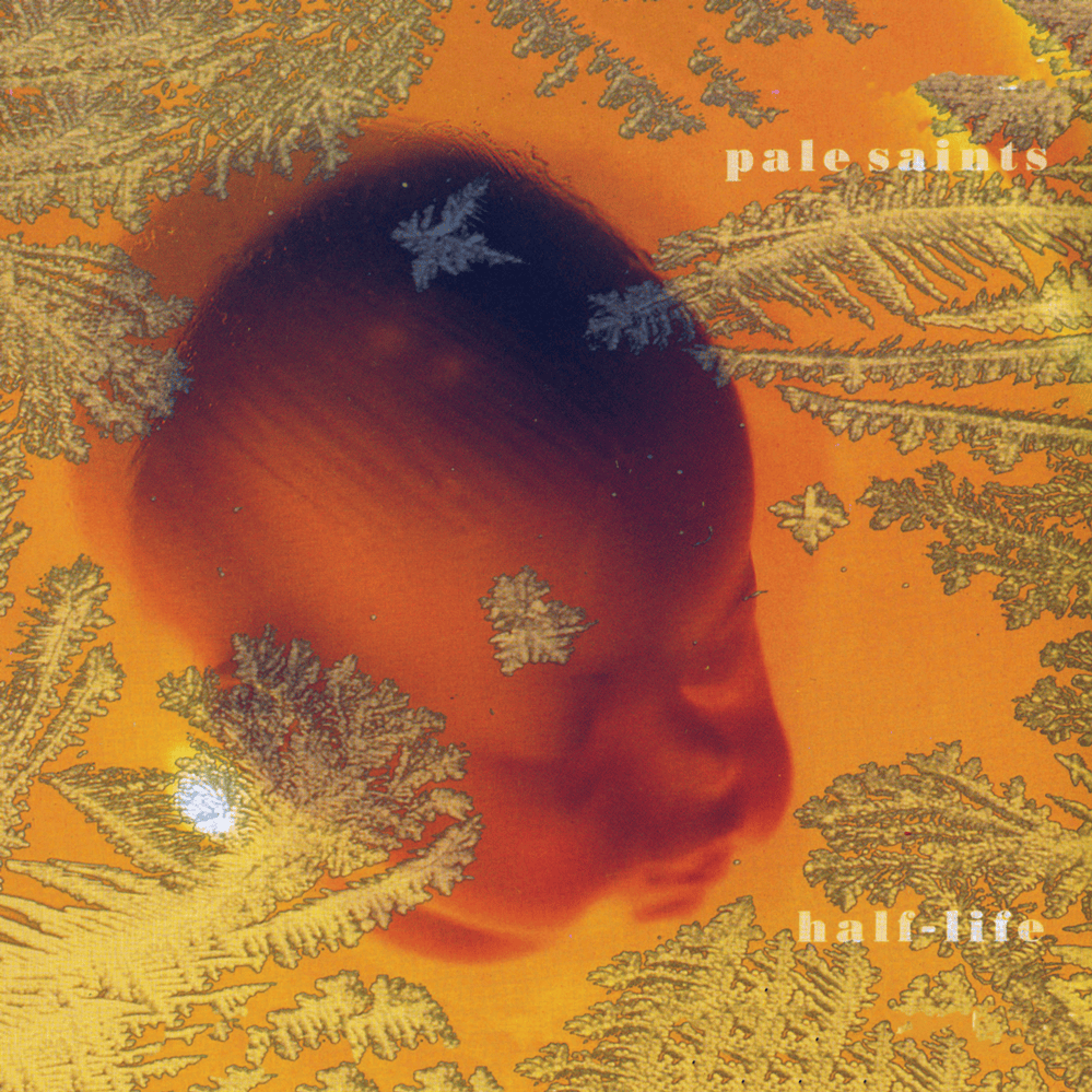 Album cover art for "Two Sick Sisters" by Pale Saints