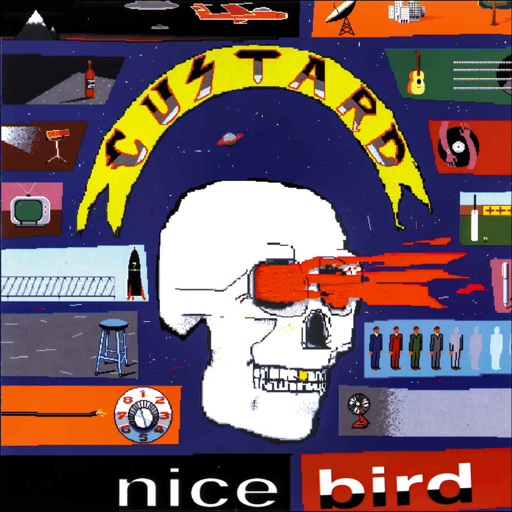 Album cover art for "Nice Bird" by Custard