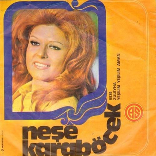Album cover art for "Züleyha" by Neşe Karaböcek