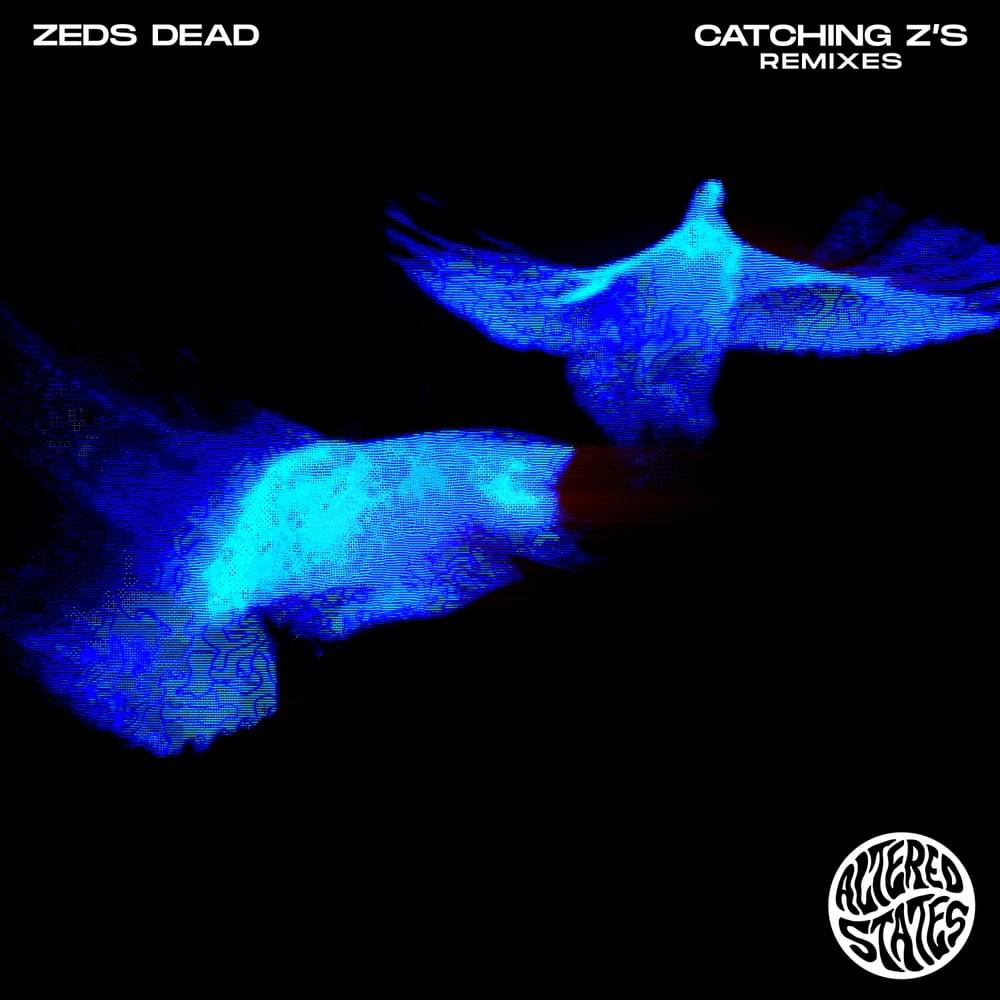 Cover image for Catching Z’s (Remixes)