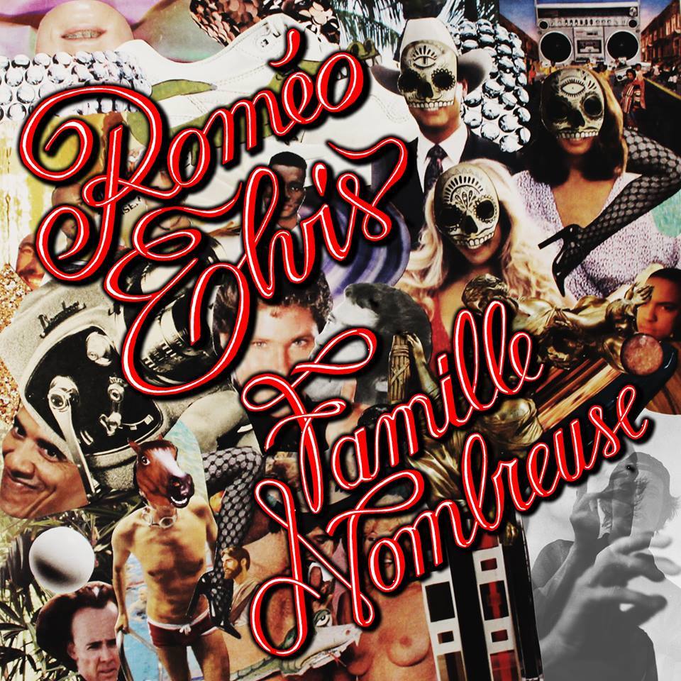 Cover image for Famille nombreuse