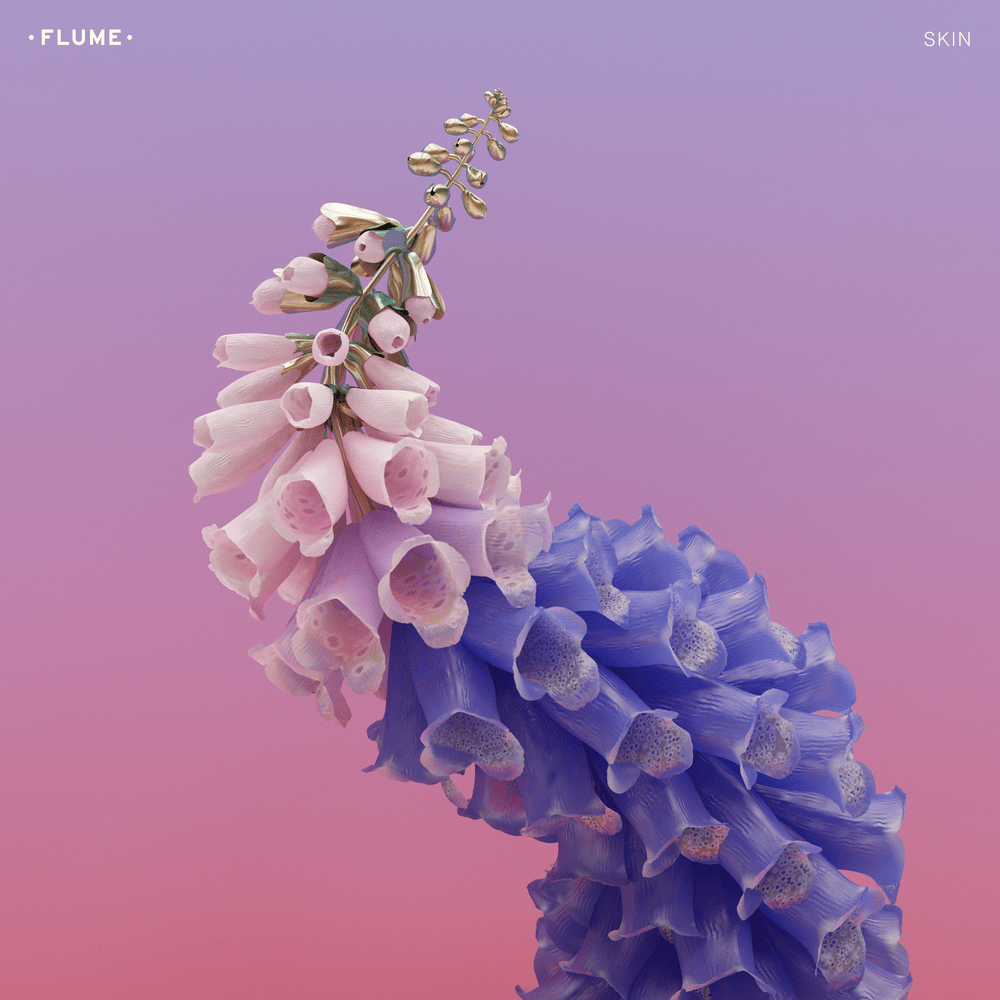 Cover image for Skin