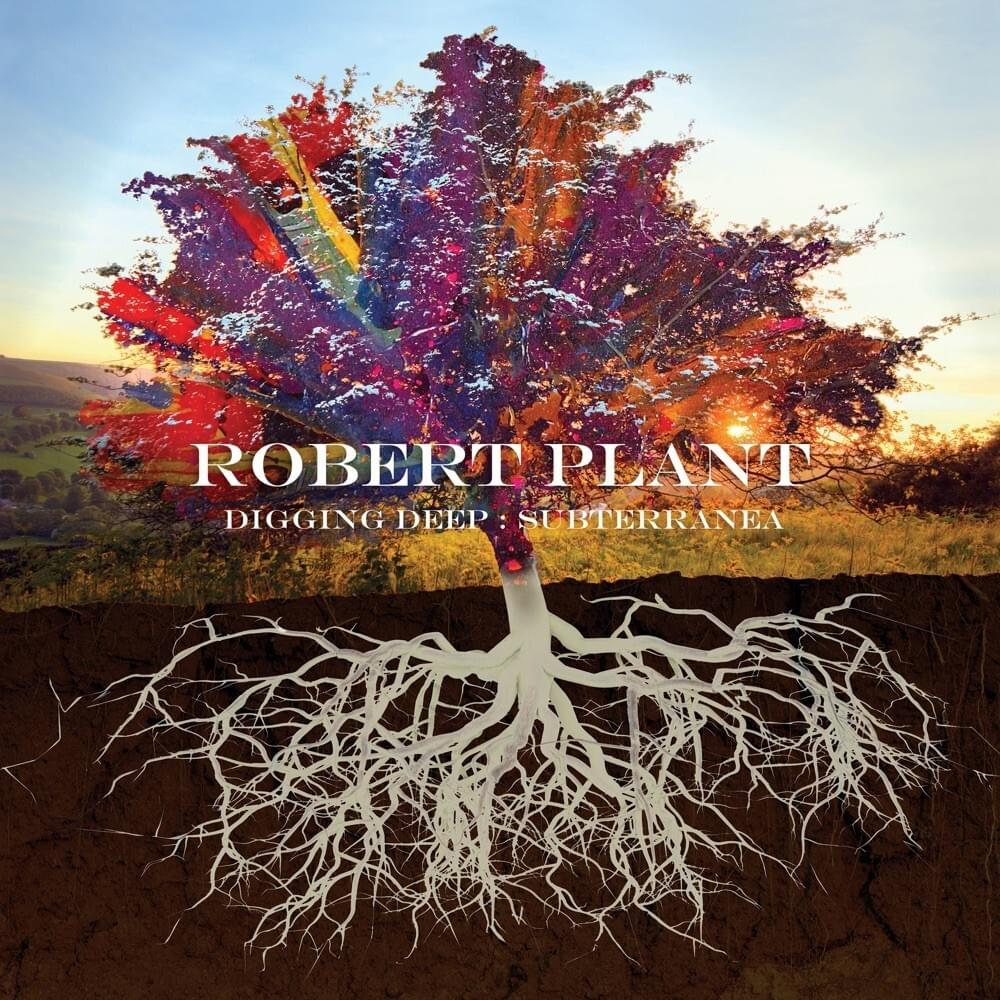 Cover image for Digging Deep: Subterranea