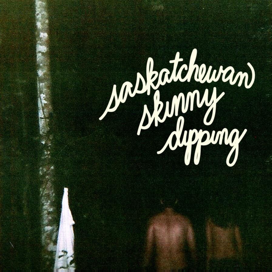 Cover image for Skinny Dipping