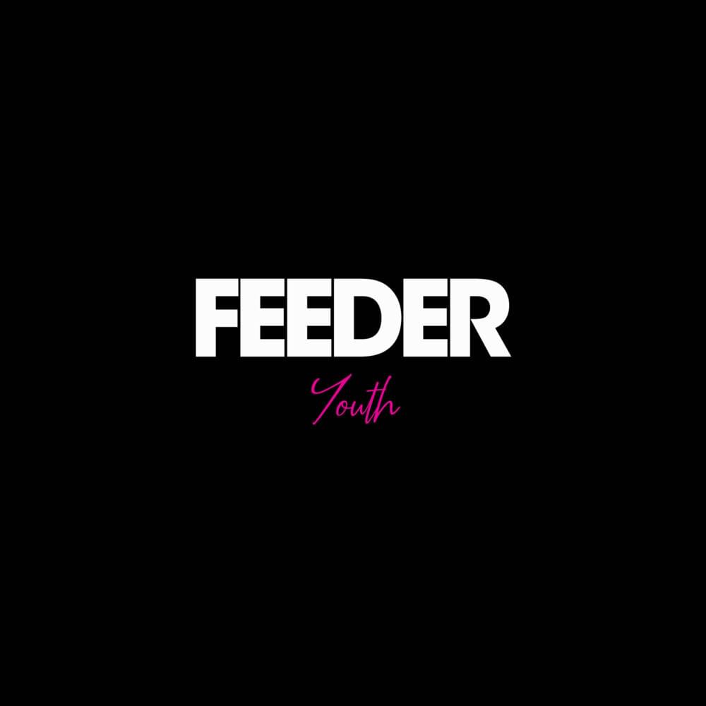 Album cover art for "Youth" by Feeder