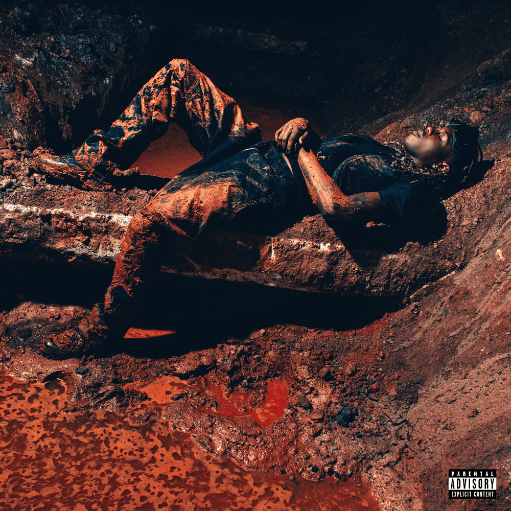 Album cover art for "HEALING" by Destroy Lonely