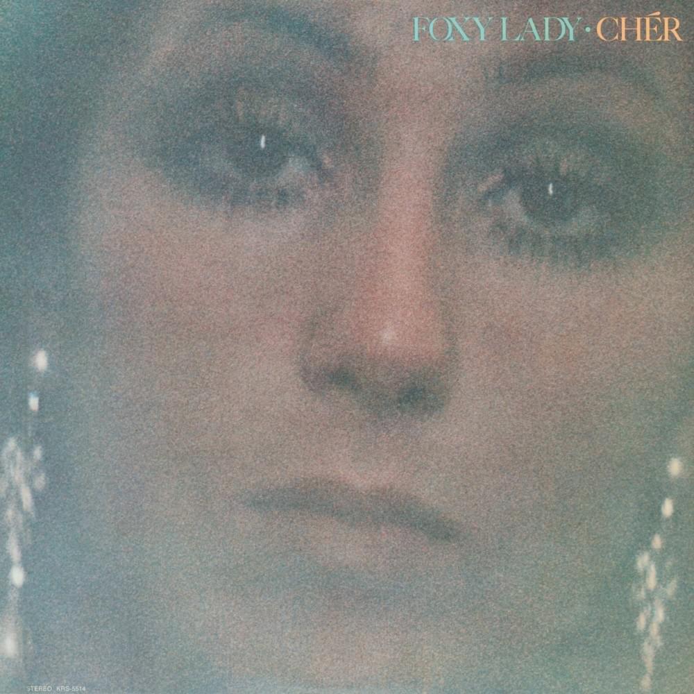 Album cover art for "Don’t Hide Your Love" by Cher