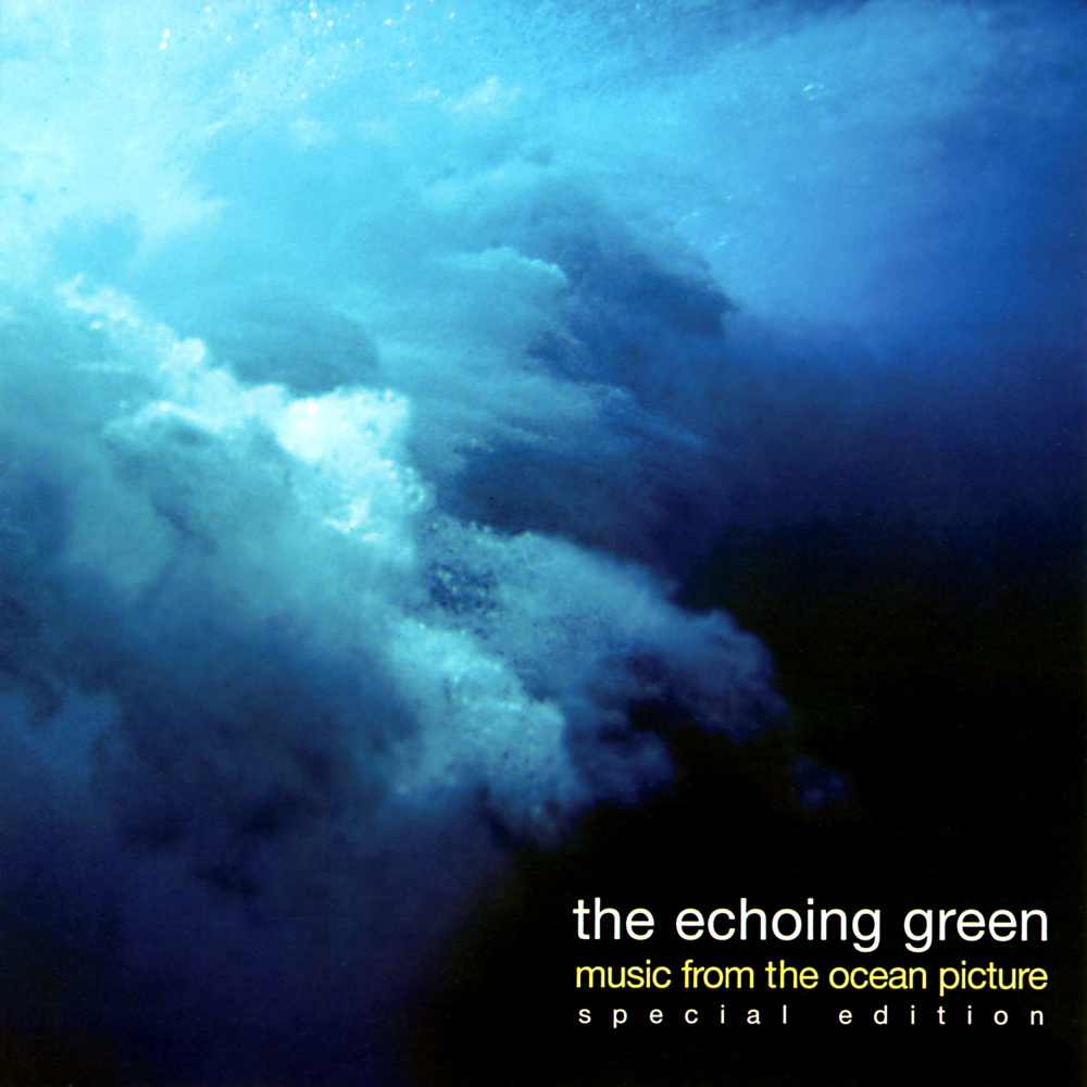 Goodbye by The Echoing Green