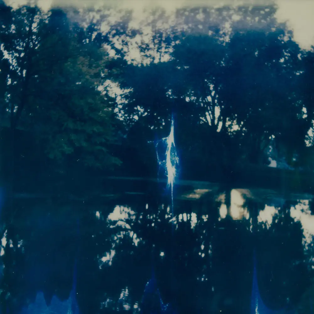 Album cover art for "Laumžirgiai Mėlyni" by Alina Orlova