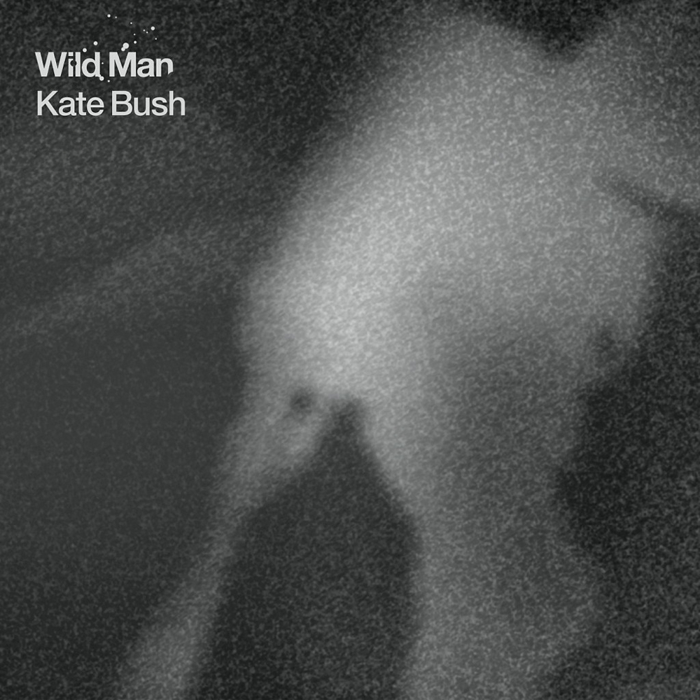 Album cover art for "Wild Man" by Kate Bush