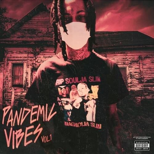 Cover image for PANDEMIC VIBES VOL.1