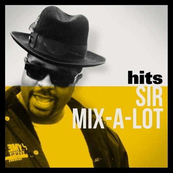 Cover image for Hits