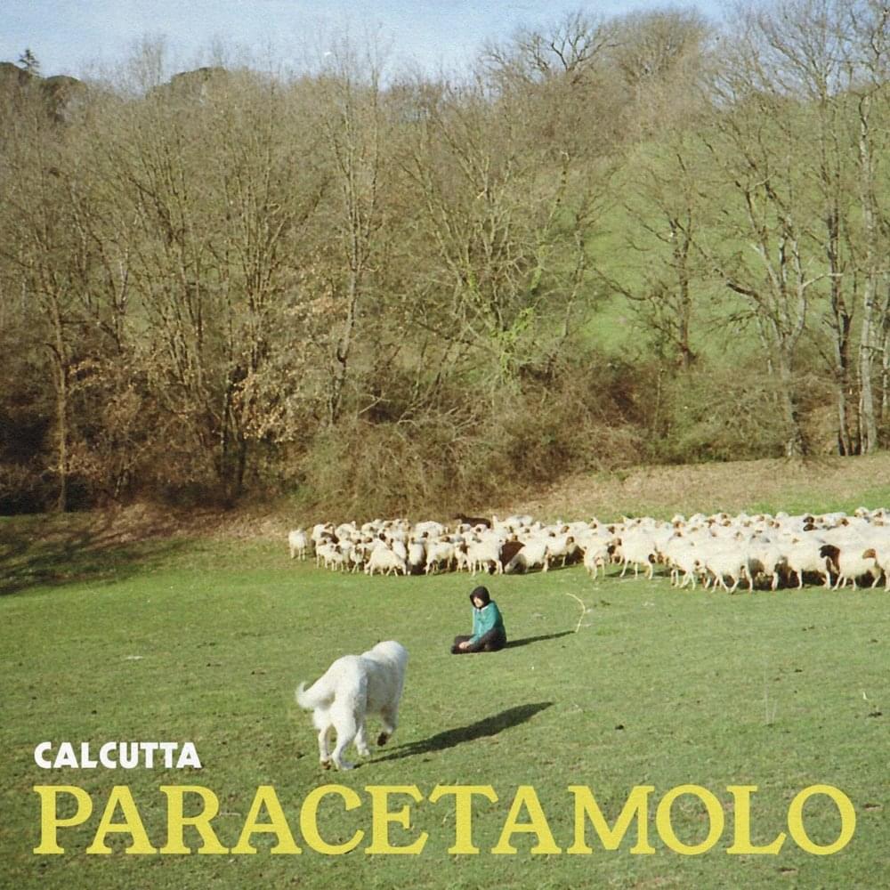 Paracetamolo by Calcutta