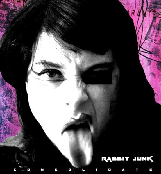 Cover image for Consolidate
