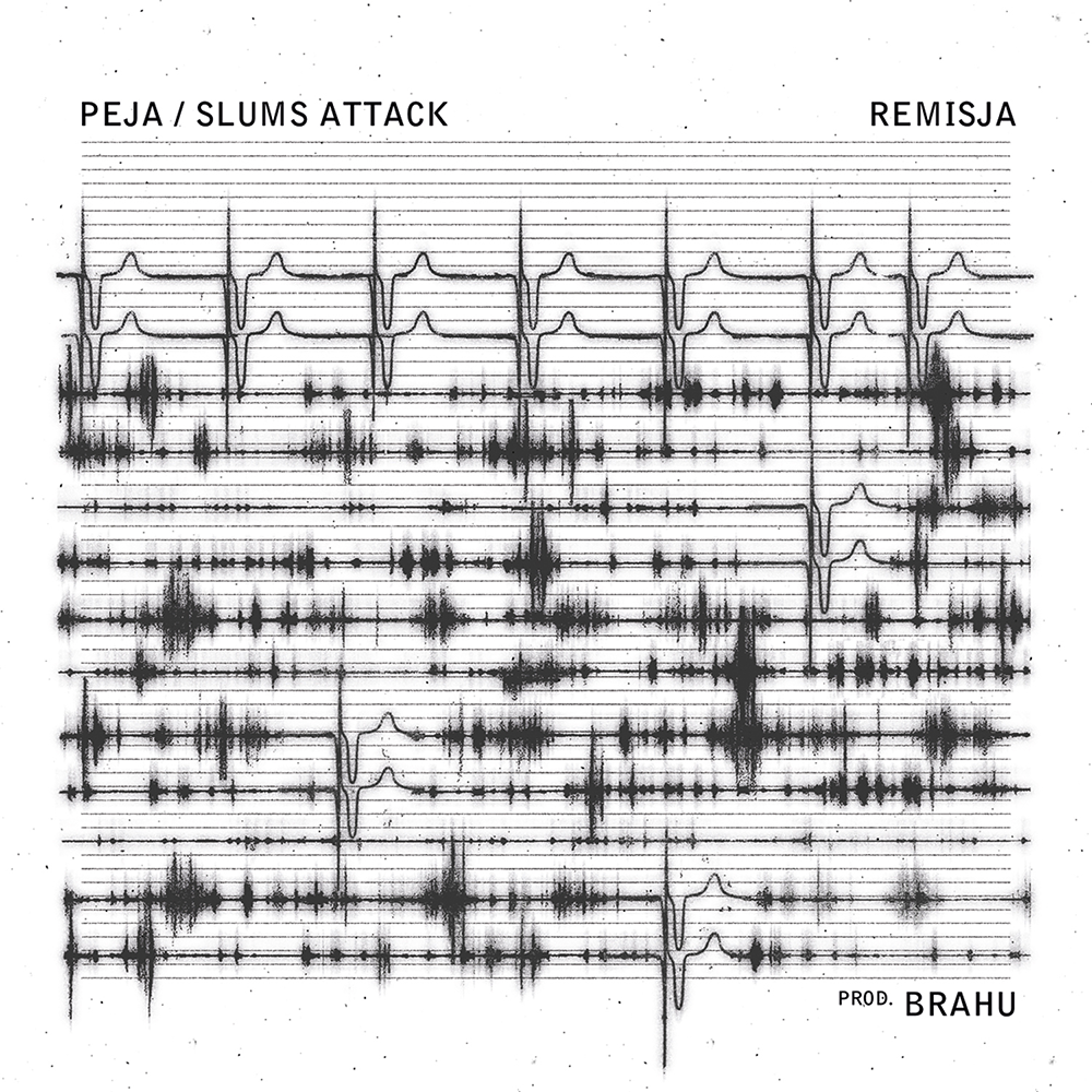Cover image for Remisja