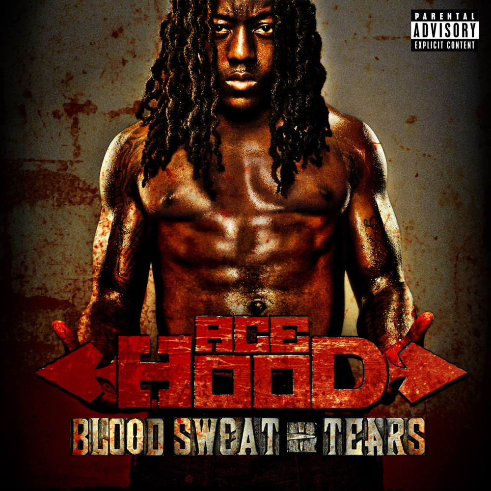 Cover image for Blood, Sweat & Tears