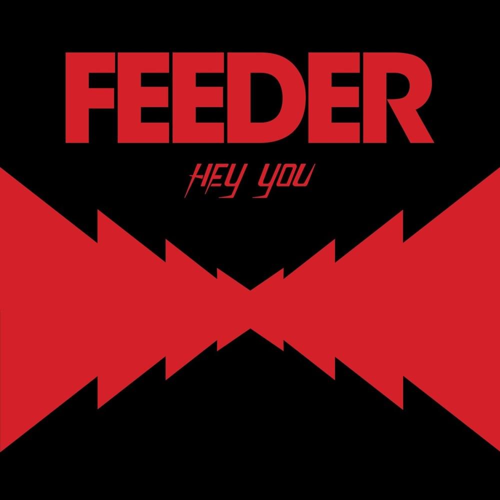 Album cover art for "Hey You" by Feeder