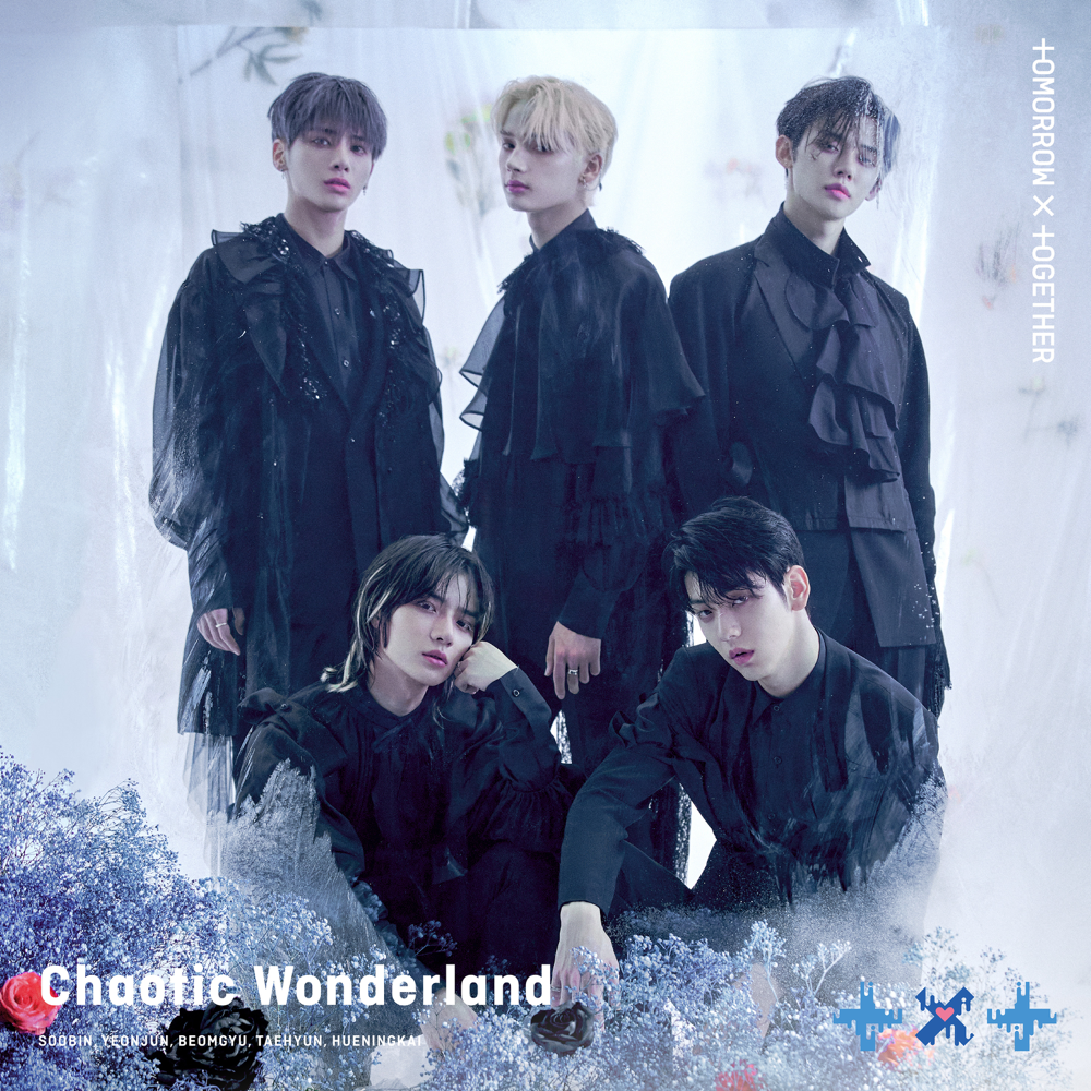 Cover image for Chaotic Wonderland