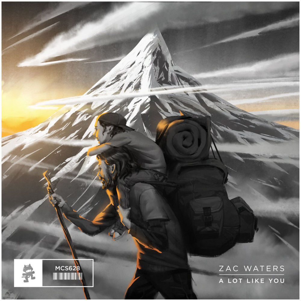 A Lot Like You by Zac Waters