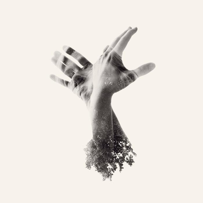 Wings by The Last Dinosaur