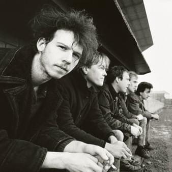 Photo of Half Man Half Biscuit