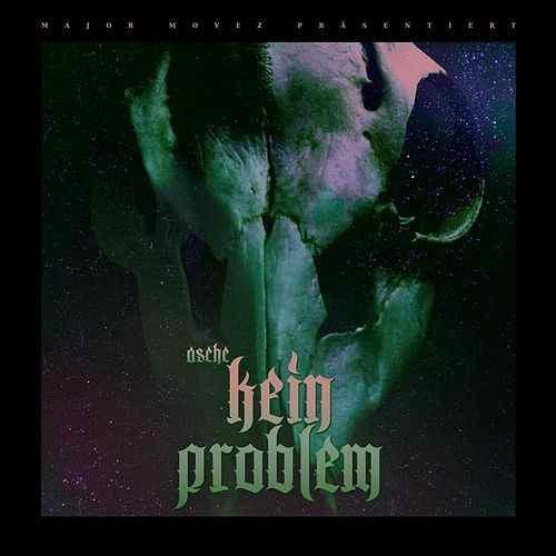 Album cover art for "Kein Problem" by Asche