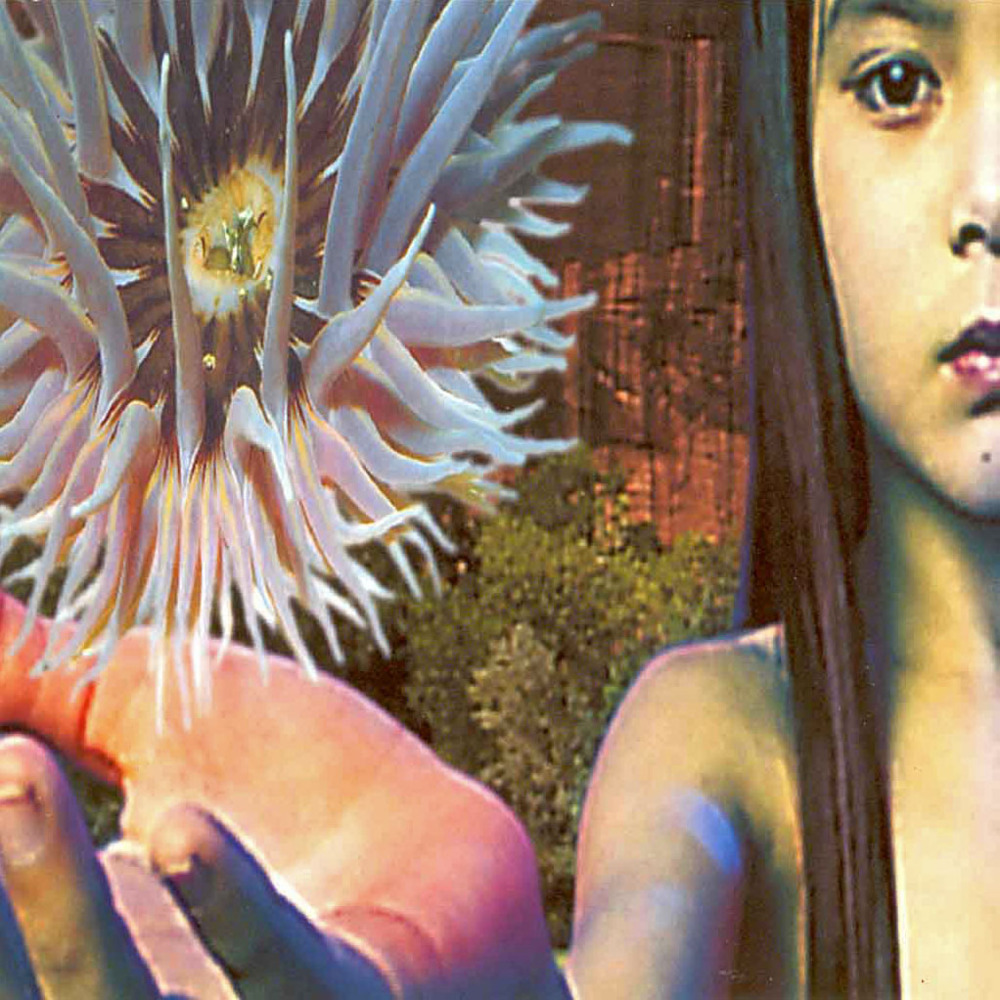 Album cover art for "Lifeforms" by The Future Sound of London