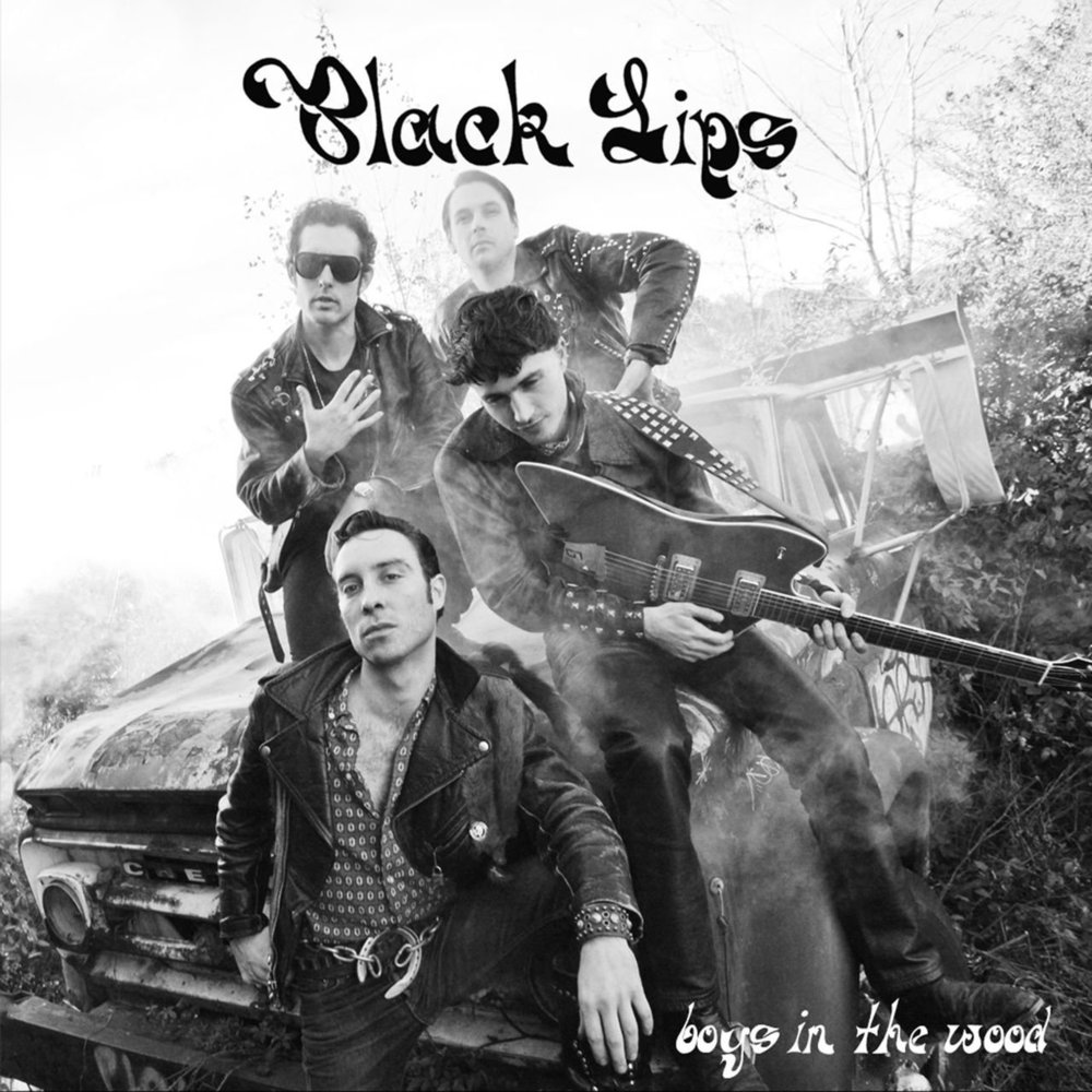 Album cover art for "Boys in the Wood" by Black Lips