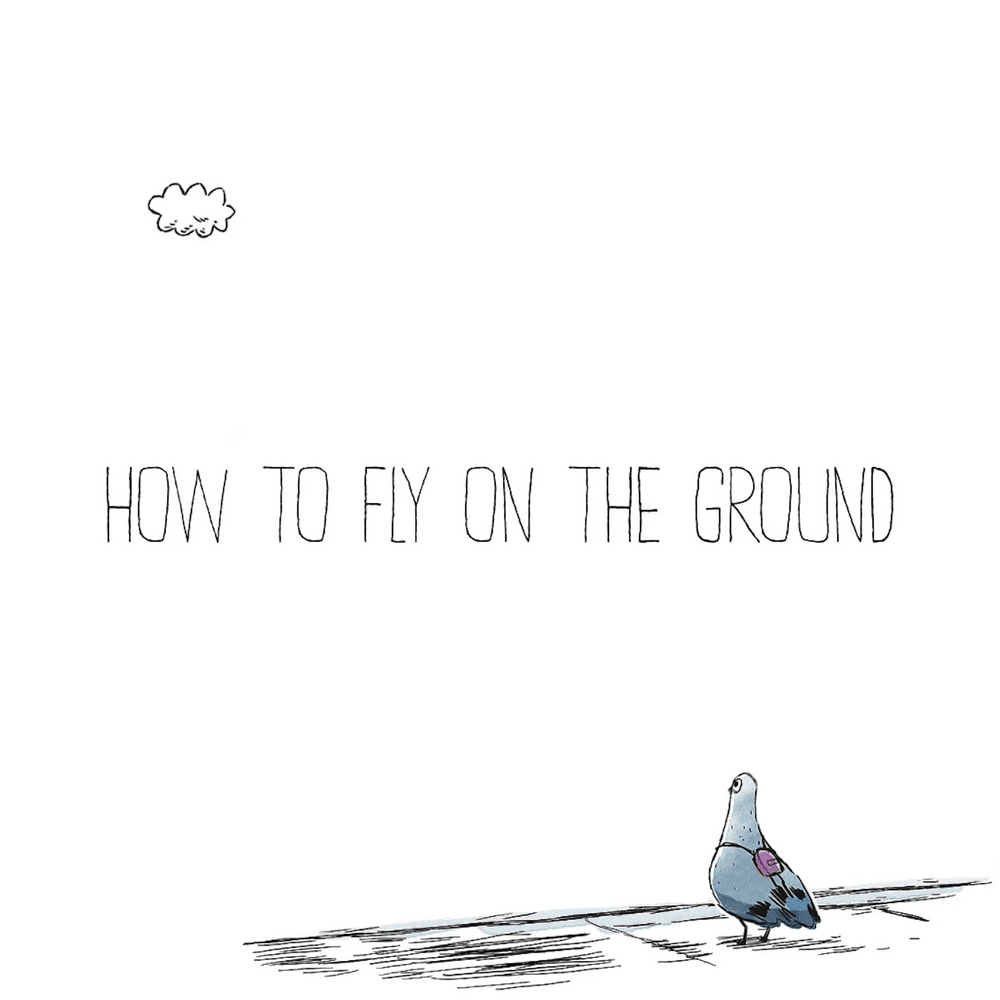 Cover image for How To Fly On The Ground