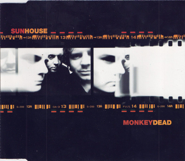 Album cover art for "Monkey Dead" by Sunhouse