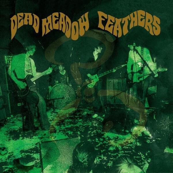 Get Up On Down by Dead Meadow